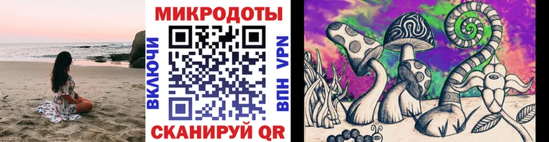 цены наркотик  Губкин  Галлюциногенные грибы прущие грибы 